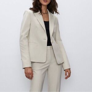 Aritzia Babaton Aria blazer